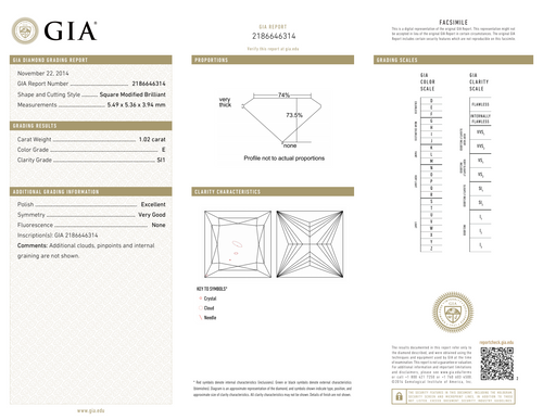 CUT E-SI1 GIA  #2186646314   EX / V.G.