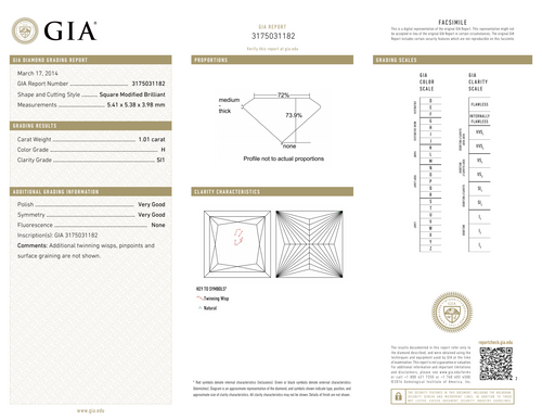CUT H-SI1 GIA #3175031182   V.G. / V.G.