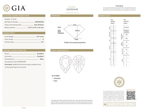 G-SI1 GIA     # 2307829698  E.X. / E.X.