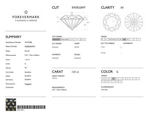 1.51CT BRILL  G-SI1         EX / EX / EX