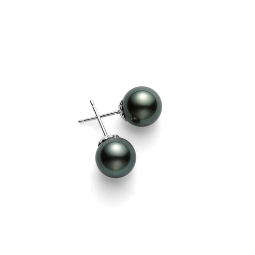 South Sea Basic Black Pearl Stud Earrings