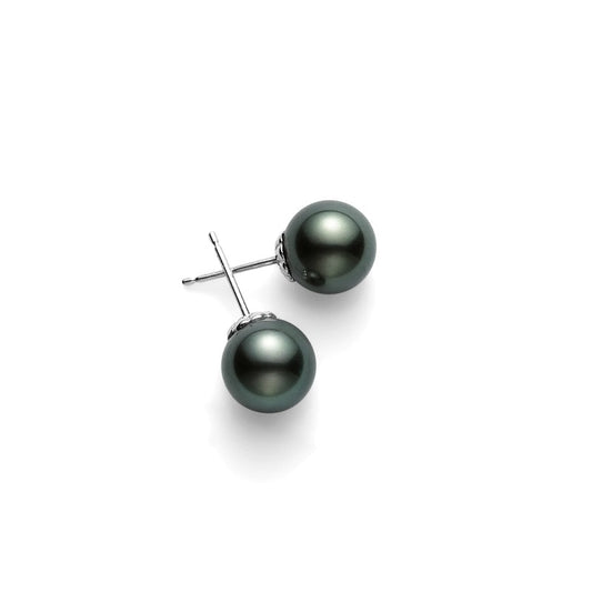 South Sea Basic Black Pearl Stud Earrings