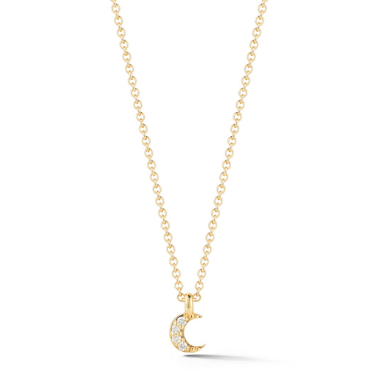 The Hayden Damsel Diamond Moon Pendant