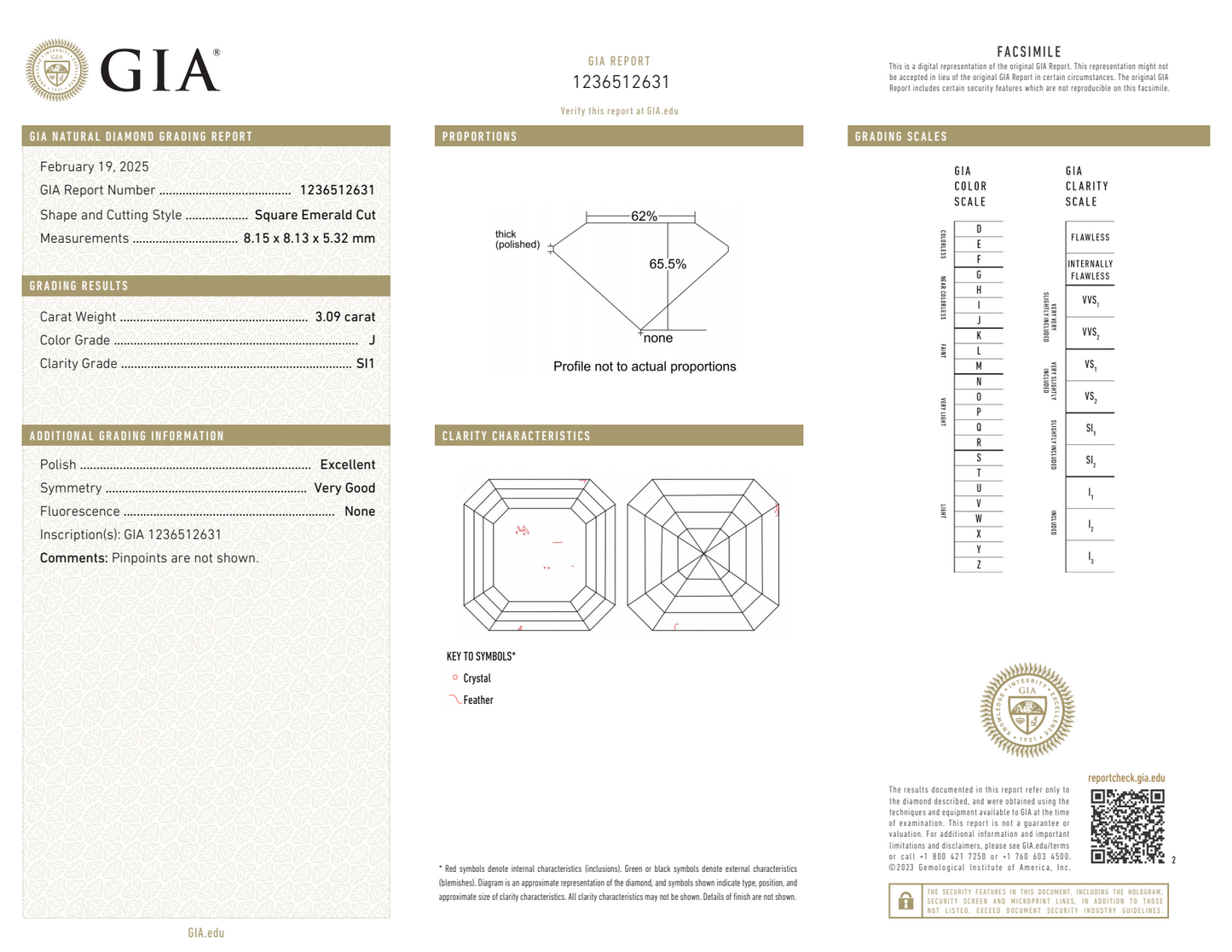 GIA Certified Ascher Cut Diamond Stud Earrings