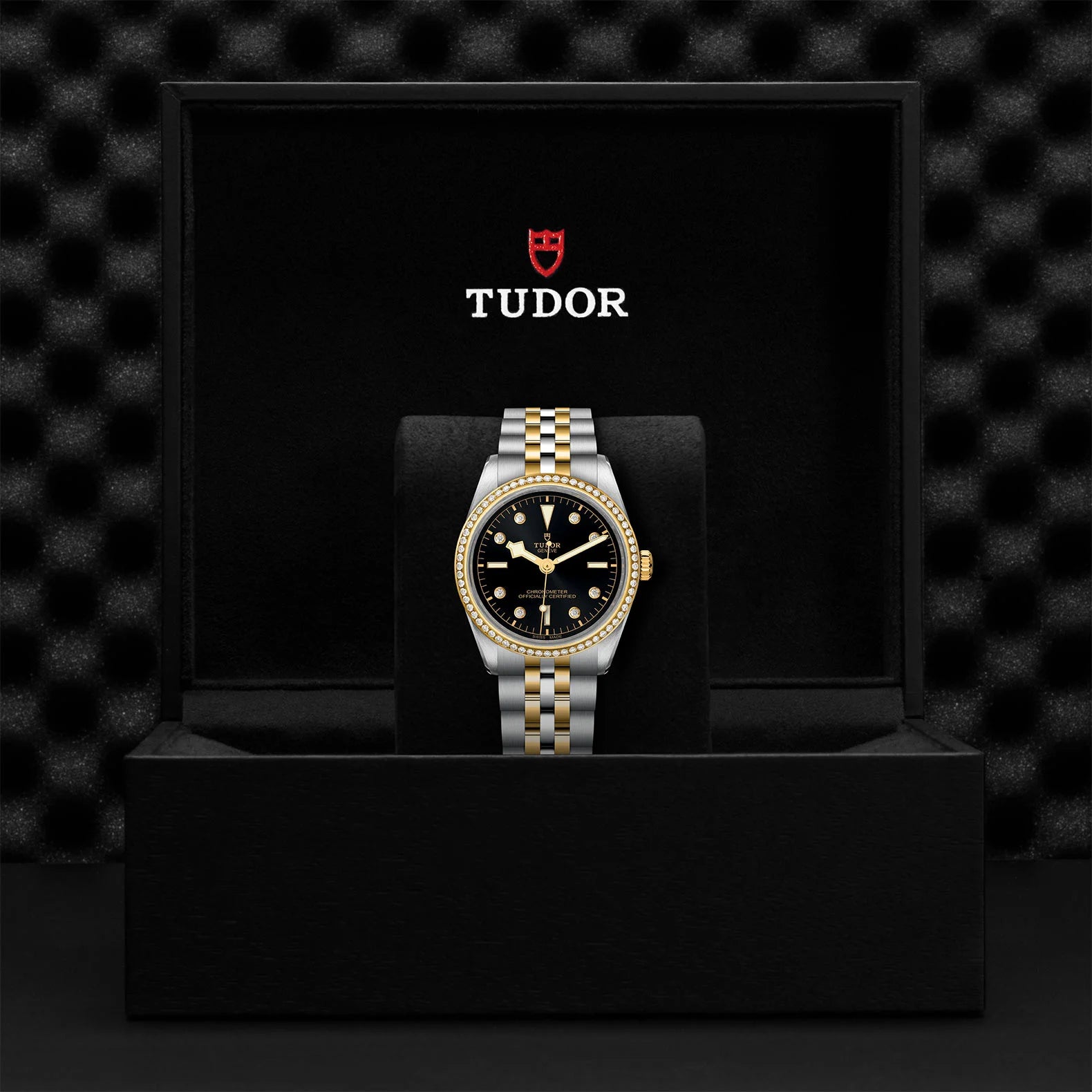 TUDOR Black Bay 36 S&G