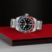 Black Bay GMt