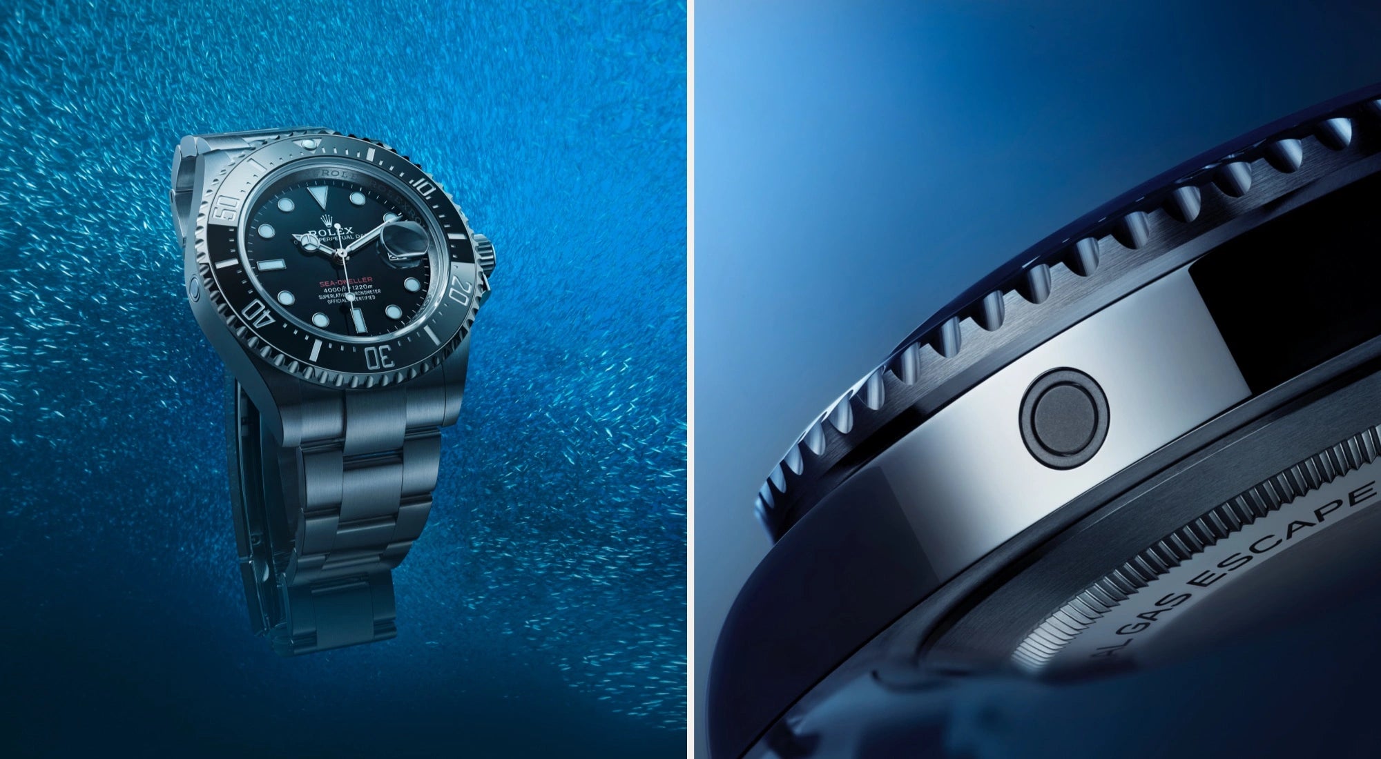 rolex Sea-Dweller watches - Orr's Jewelers