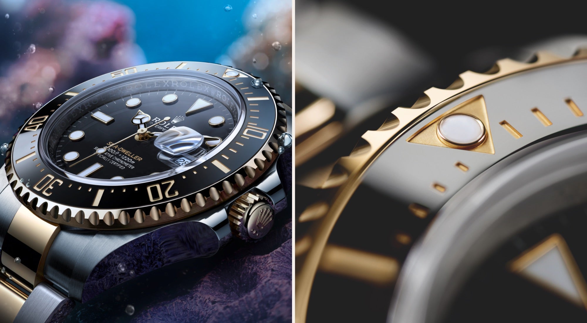 Rolex Sea-Dweller watches - Orrs Jewelers