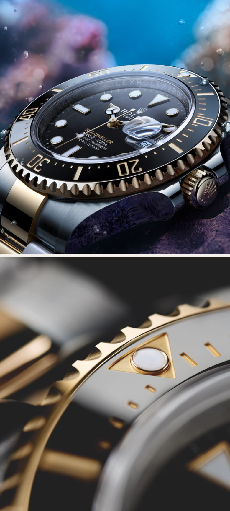 Rolex Sea-Dweller watches - Orrs Jewelers
