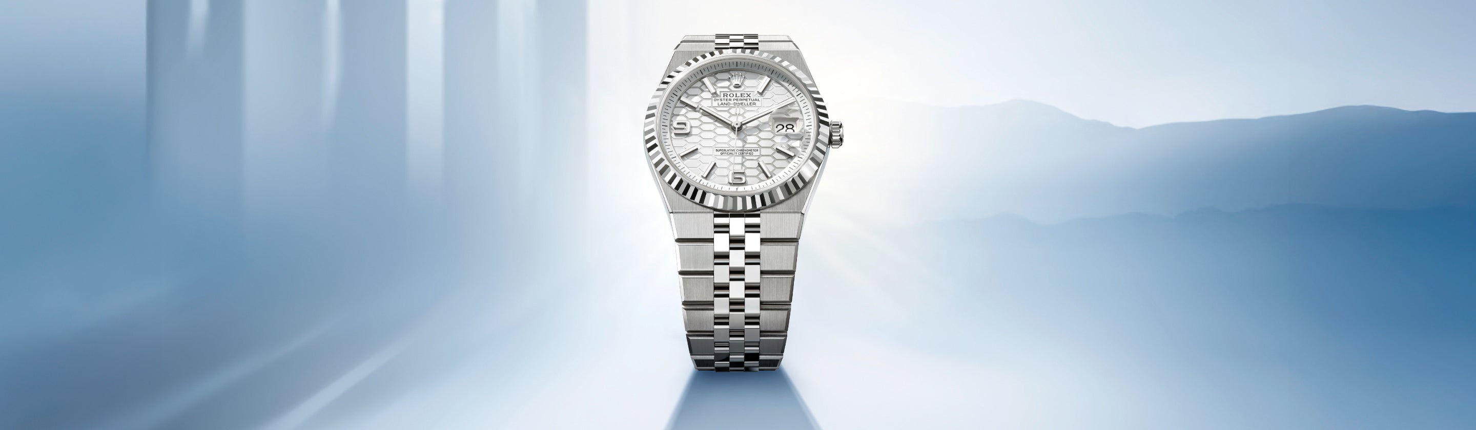 Rolex Land-Dweller watches - Orrs Jewelers