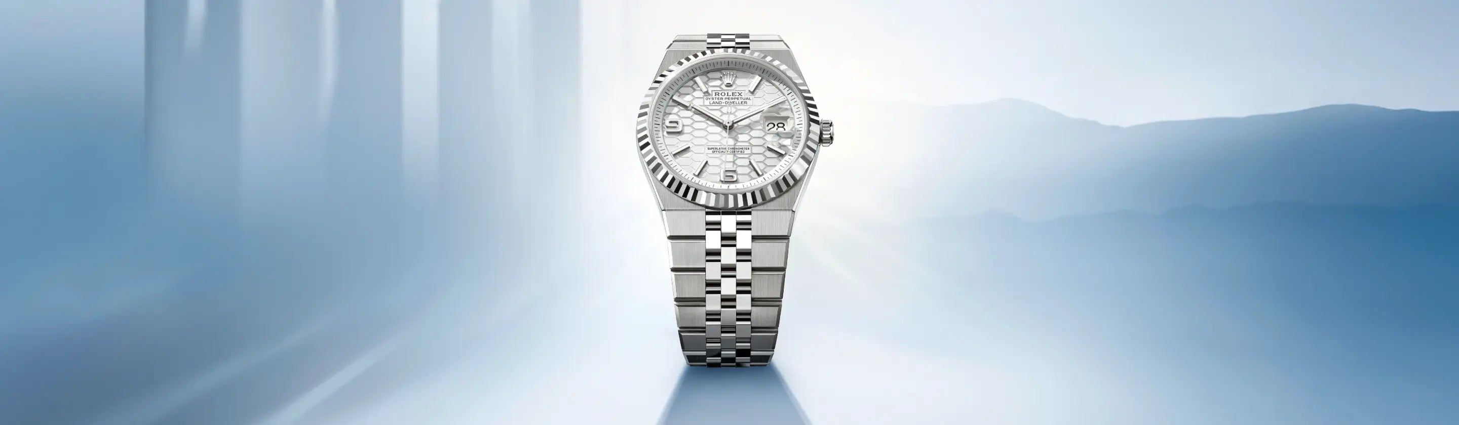 rolex Land-Dweller watches - Orr's Jewelers