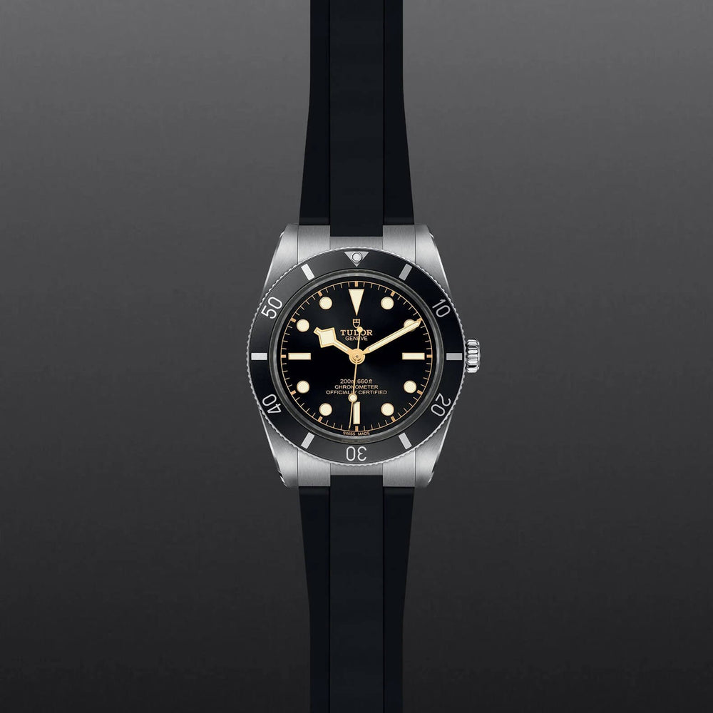 TUDOR Black Bay 54