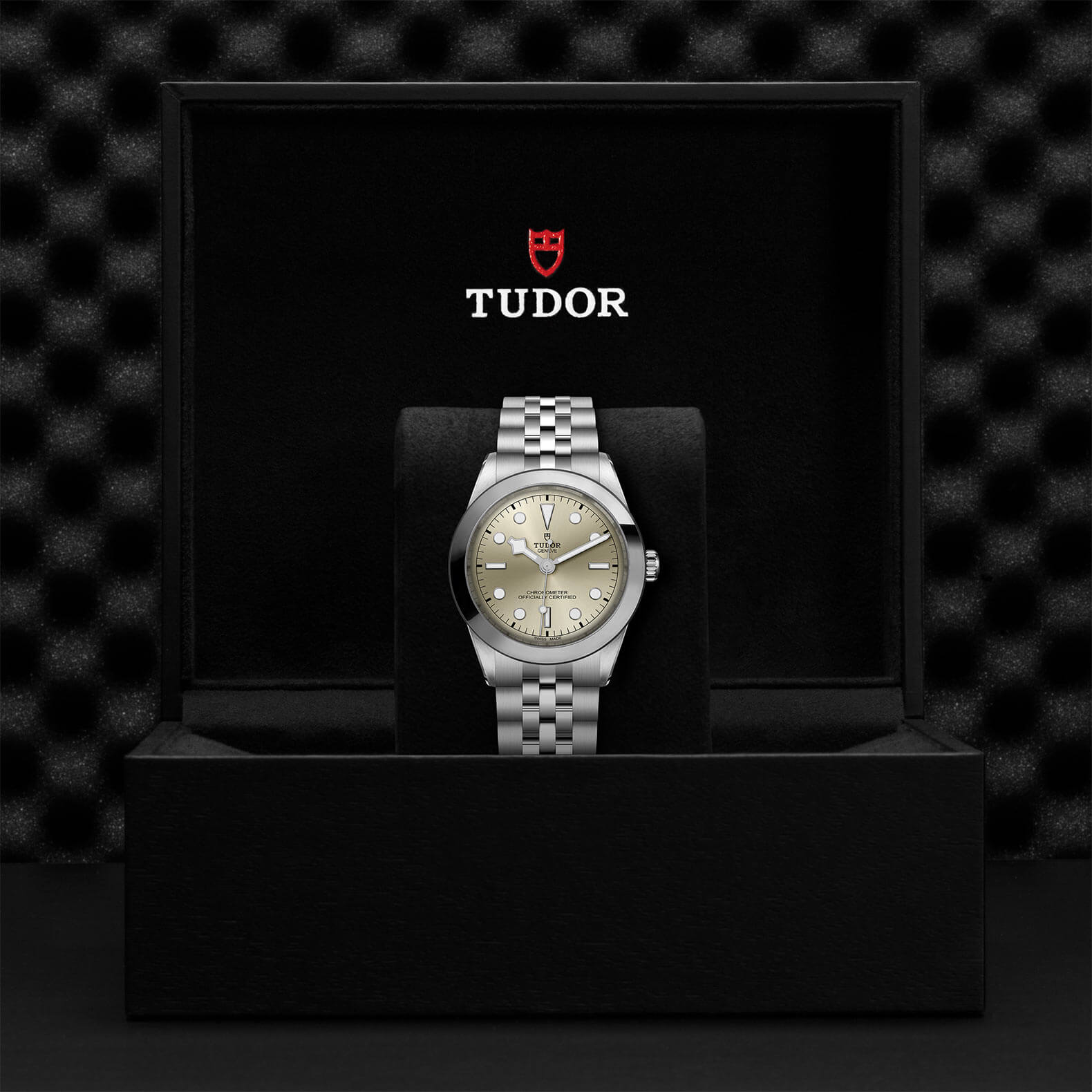 TUDOR Black Bay 39